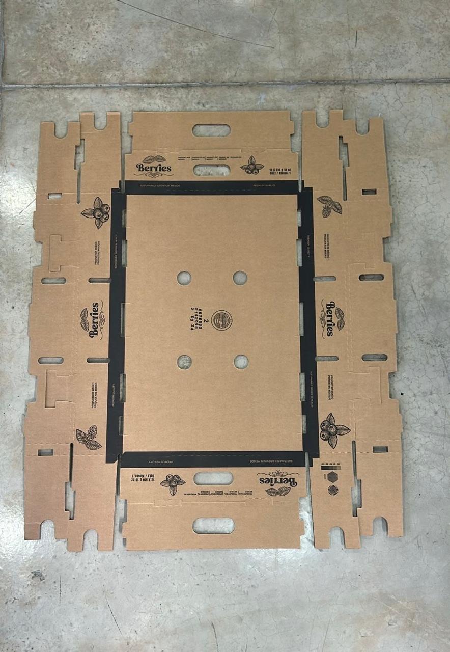 Caja plegadiza